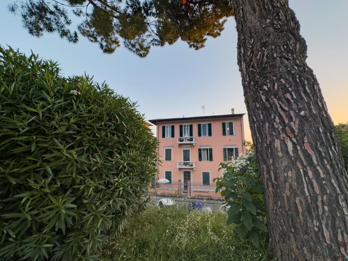 La Casa Di Eli Appartamenti Пиза Екстериор снимка